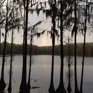 188457_10200873146496901_77136796_n